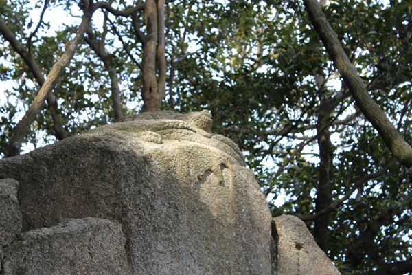 亀の岩２